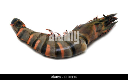 Raw tiger shrimp ready to be cooked Stock Photo