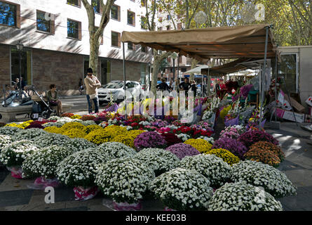 Street flowers shops.La Rambla.Palma de Mallorca.Mallorca Island.Spain Stock Photo