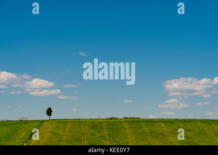 Italy Tuscany Orciano Pisano Province of Pisa Stock Photo