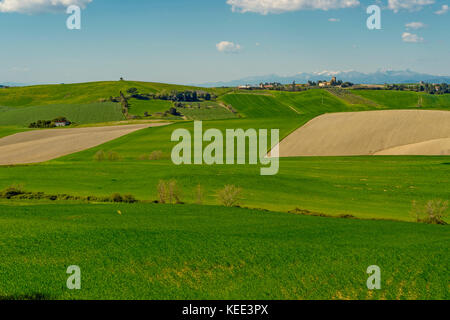 Italy Tuscany Orciano Pisano Province of Pisa Stock Photo