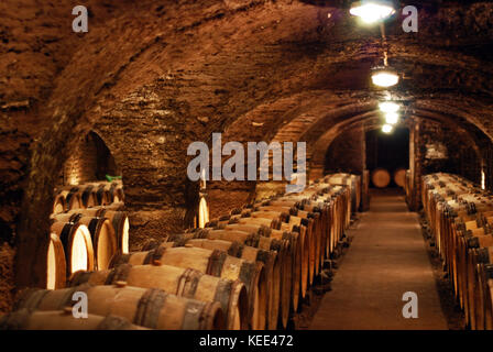 The cellars at Ropiteau Freres in Meursault, Burgundy Stock Photo