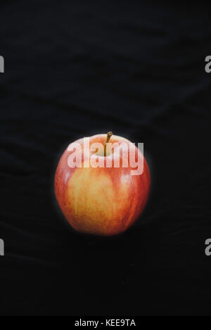 Gala apple on a black background Stock Photo