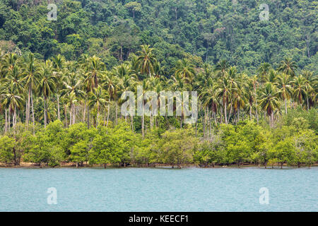 Tropical bay landscape with a palm trees in Thailand Stock Photo