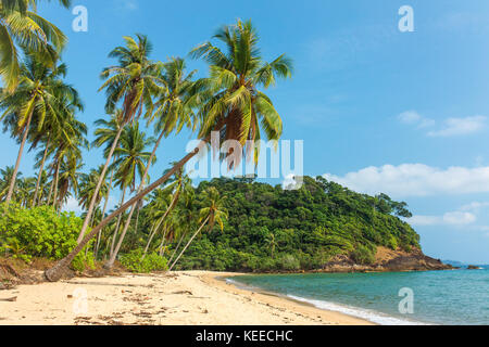 Beautiful tropical beach with palm trees on Koh Chang island in Thailand Stock Photo