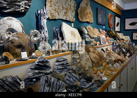 Fossils on display Nature s Own fossil and mineral store