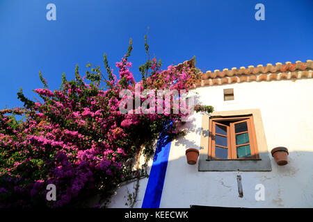 Deep bright pink Bougainvillea against a white Portuguese wall with yellow window frame and blue edging under pan tiled roof and an intense blue sky. Stock Photo