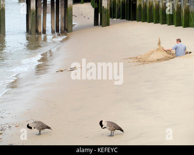 Geese and sand castles by the Thames Embankment, London Stock Photo