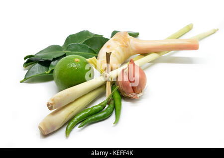 Two onion bulbs isolated on white background Stock Photo