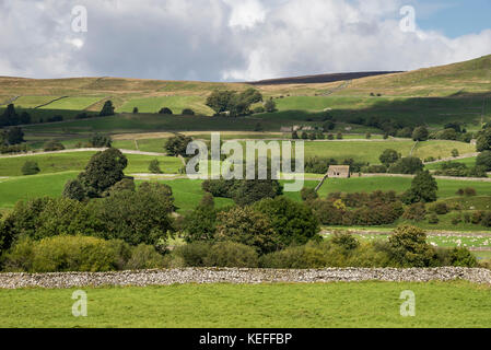 Beautiful countryside around Askrigg in Wensleydale, Yorkshire Dales national park, England. Stock Photo