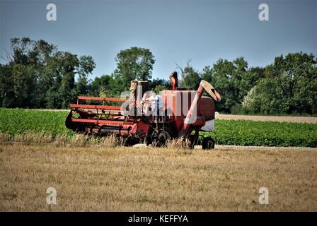 Old Massey Harris combine harvester at work on English farm Stock Photo