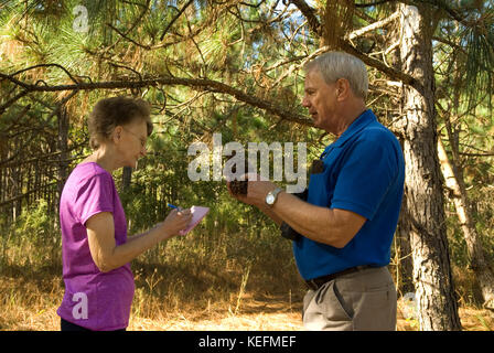 Caucasian Senior Couple (age 60-70) checking out long leaf pine trees, Bethune, South Carolina, USA. The trees are used for mulch in landscaping. Stock Photo