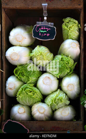 Napa Cabbage on sale at the farmer's market Stock Photo