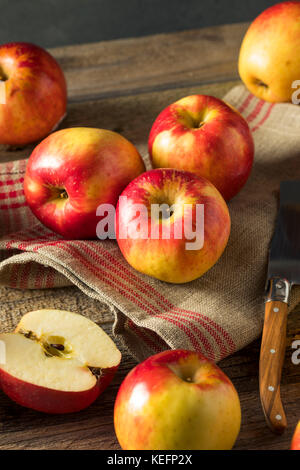 Red Apple Rawa Raw Organic Red Apples Ready to Eat Stock Photo - Alamy