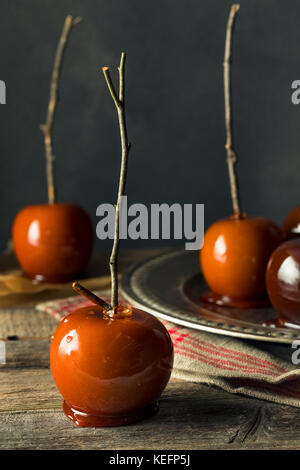 Gourmet Sweet Fancy Candy Apples for Halloween Stock Photo