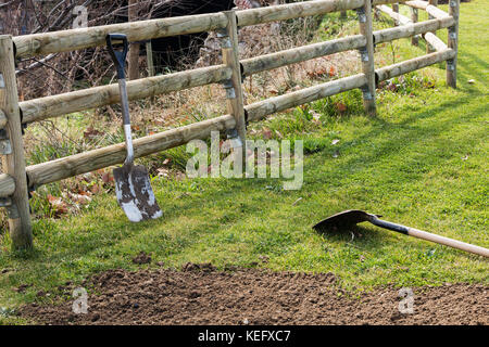 two spades on green grass and ground  in the park with a wooden fence Stock Photo