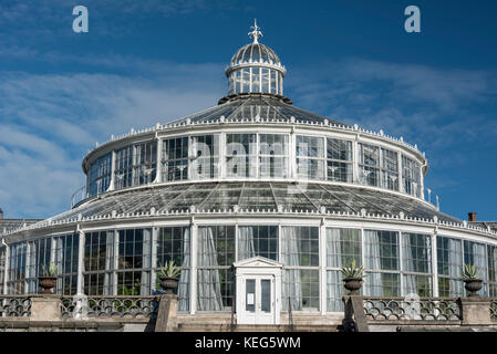 Palm House or Palmehus, greenhouse in the Botanic Gardens, Copenhagen, Denmark, Europe Stock Photo