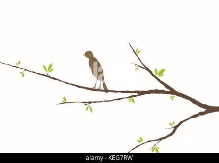 bird sitting on a branch with green leaves Stock Vector