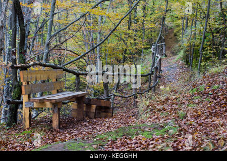 Pair of black sneakers in brown and yellow autumn leaves Stock Photo