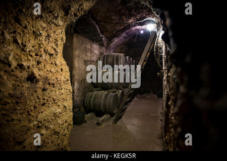 American Oak barrels of Rioja wine maturing at Carlos San Pedro Bodega winery in underground cellar Laguardia, Spain Stock Photo
