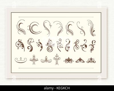 The classic florals and ornament design element collection set Stock Vector