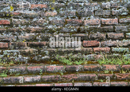 rough brick wall covered with moss and vegetation Stock Photo