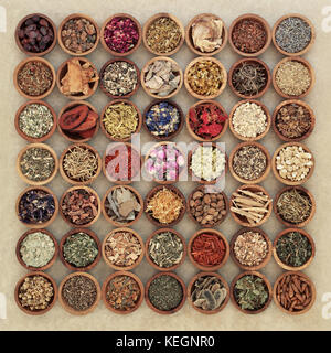 Herb selection used in chinese and natural herbal medicine in wooden bowls on hemp paper background. Top view. Stock Photo