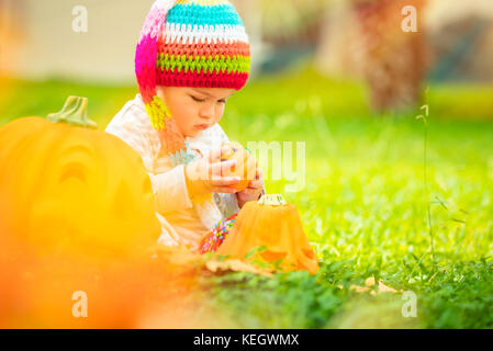 Cute baby playing with decorative Halloween pumpkins on fresh green grass in backyard, enjoying traditional American holiday on sunny autumn day Stock Photo