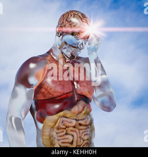 Organs in transparent man Stock Photo