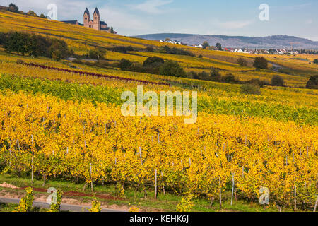 Rüdesheim am Rhein, wine making town in Germany, autumnal vineyards, view to Eibingen abbey (german Abtei St. Hildegard) Stock Photo