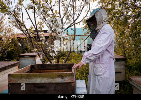 Beekeeper and bee hives Stock Photo