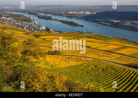 Rüdesheim am Rhein, wine making town in Germany, autumnal vineyards Stock Photo