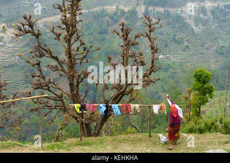 Nepalese woman hanging laundry on a wooden pole. Stock Photo