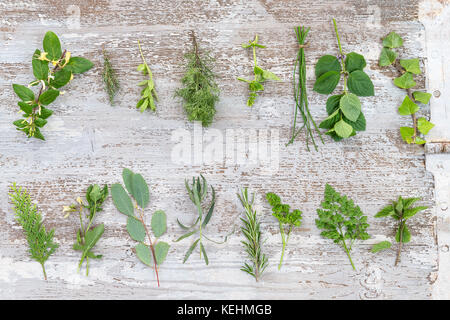 Green fresh herbs mix on white wooden background , top view frame Stock Photo