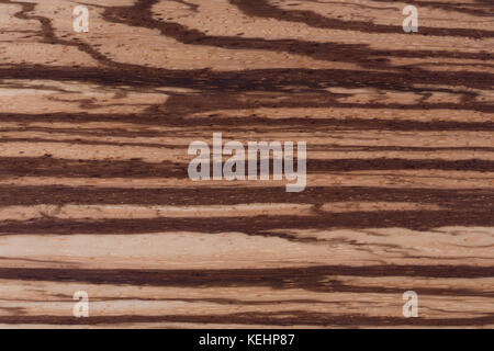 Zebrano texture, Wood grain background. Hi res photo Stock Photo