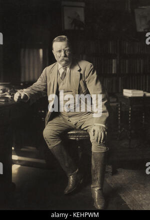 Theodore Roosevelt,Full-Length Portrait,Seated in his Library,Oyster Bay,New York,USA,1912 Stock Photo