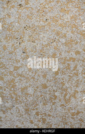 Limestone facade panel. Background texture. Stock Photo