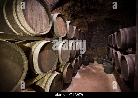 Oak barrels of Rioja wine maturing at Carlos San Pedro Bodega winery in medieval town of Laguardia in Basque country, Spain Stock Photo