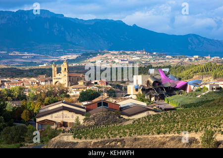 Marques de Riscal Bodega winery, vines and Hotel Marques de Riscal, designed by Frank O Gehry at Elciego in Rioja-Alavesa, Spain Stock Photo