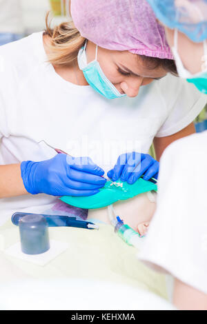 Young beautiful woman dentist in white lab coat and sterile medical cap treats teeth against tooth decay and plaque in child, assistant dentist drops  Stock Photo