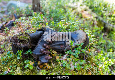 old dirty boots.old boots worn with scratches and untied shoelaces on grunge background. Stock Photo
