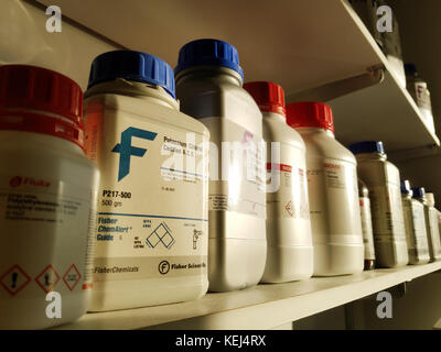 Shelves of chemicals in a laboratory Stock Photo