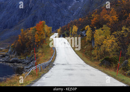 Coastal Road, Autumn on Kvaloya, whale island, troms, northern norway, europe Stock Photo