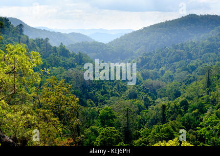 Valley and rainforest forest canopy in the Blackall Range, Kondalilla National Park, Queensland, Australia Stock Photo