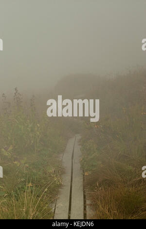 Wooden walkways leading through a dense fog (a descending cloud in a mountainous area) uneven grassy meadow Stock Photo