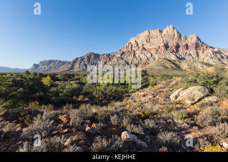 View of Mt Wilson at Red Rock Canyon National Conservation Area near Las Vegas, Nevada. Stock Photo