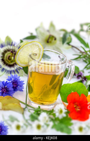 Various dried meadow herbs and herbal tea on white background close up fresh medicinal plants and in bundle. Preparing medicinal plants for phytothera Stock Photo