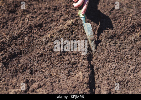 Preparing garden bed soil for planting seeds Stock Photo