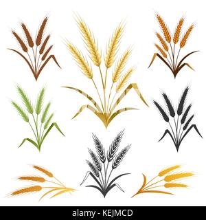 Wheat ears set. Bread logo or label design element. Vector illustration Stock Vector