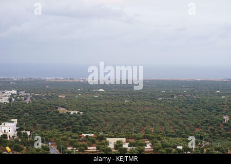 Landscape near Ostuni, apulia, Italy Stock Photo