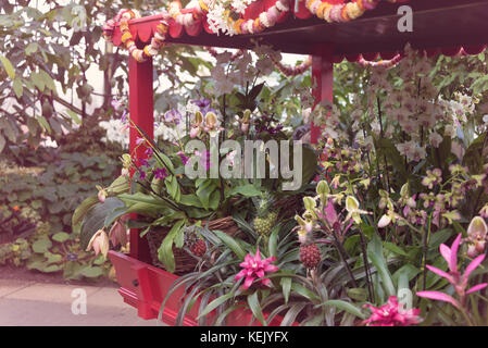 Orchid Kingdom wood wooden cart at Indian Orchids Festival in Kew Botanical Gardens in London Stock Photo